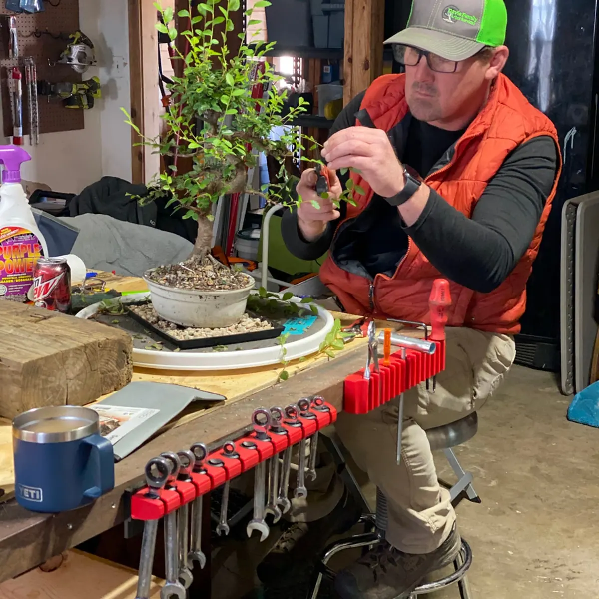 Arborist Consultations in Tulsa OK