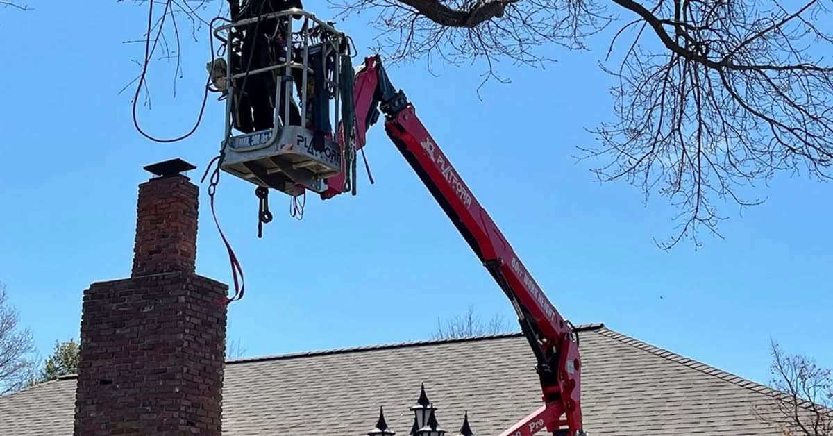 Aerial lift raising an arborist to a bare limb hanging over a brick chimney and roof