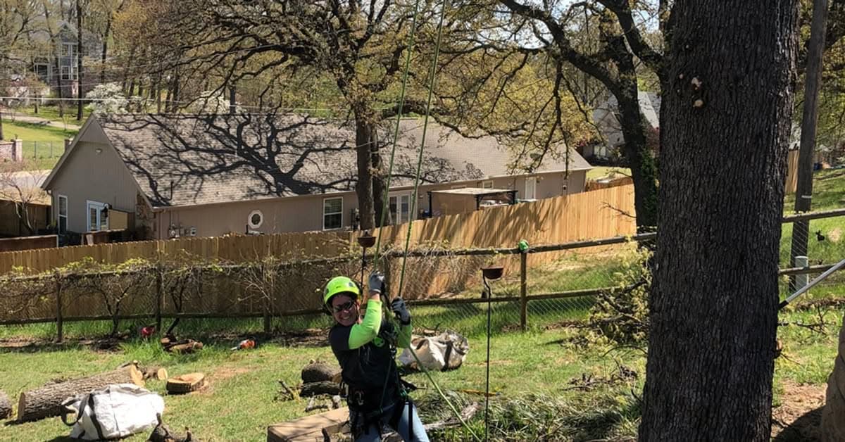 Climber suspended by ropes in a tree, smiling, above a fenced residential backyard